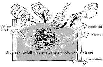 mikroorganismer vad är det